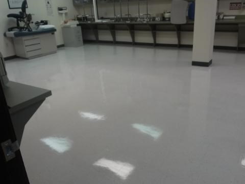 Classroom - After Wax
