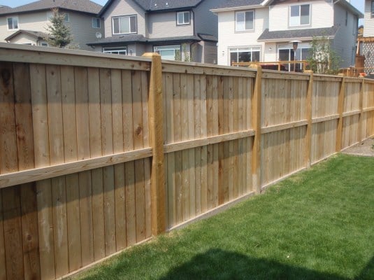 Avatar for Affordable fencing and Handyman services
