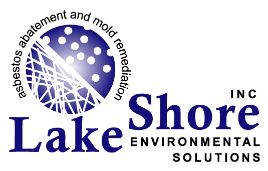Logo for LAKE SHORE ENVIRONMENTAL SOLUTIONS INC
