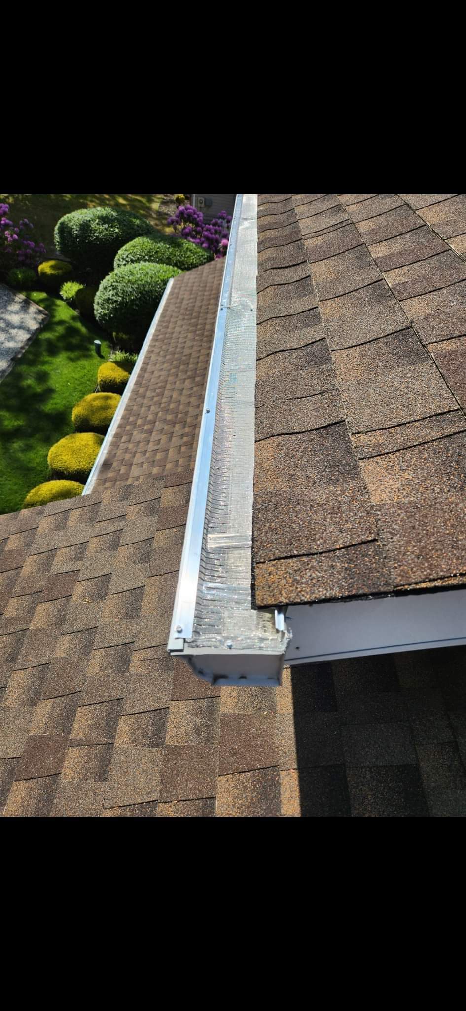 Avatar for Ambuck Services 