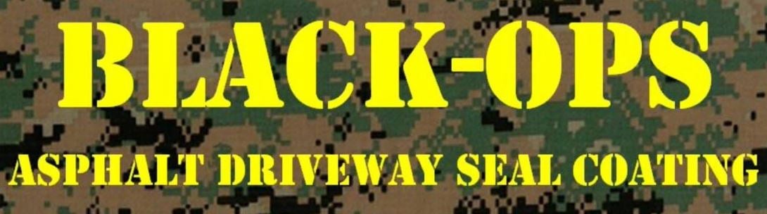 Avatar for Black-Ops Asphalt Driveway Seal Coating, LLC