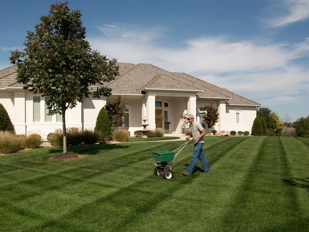 Full Sevice Lawn Care