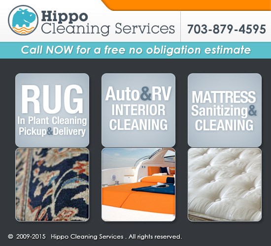Upholstery Cleaning Service