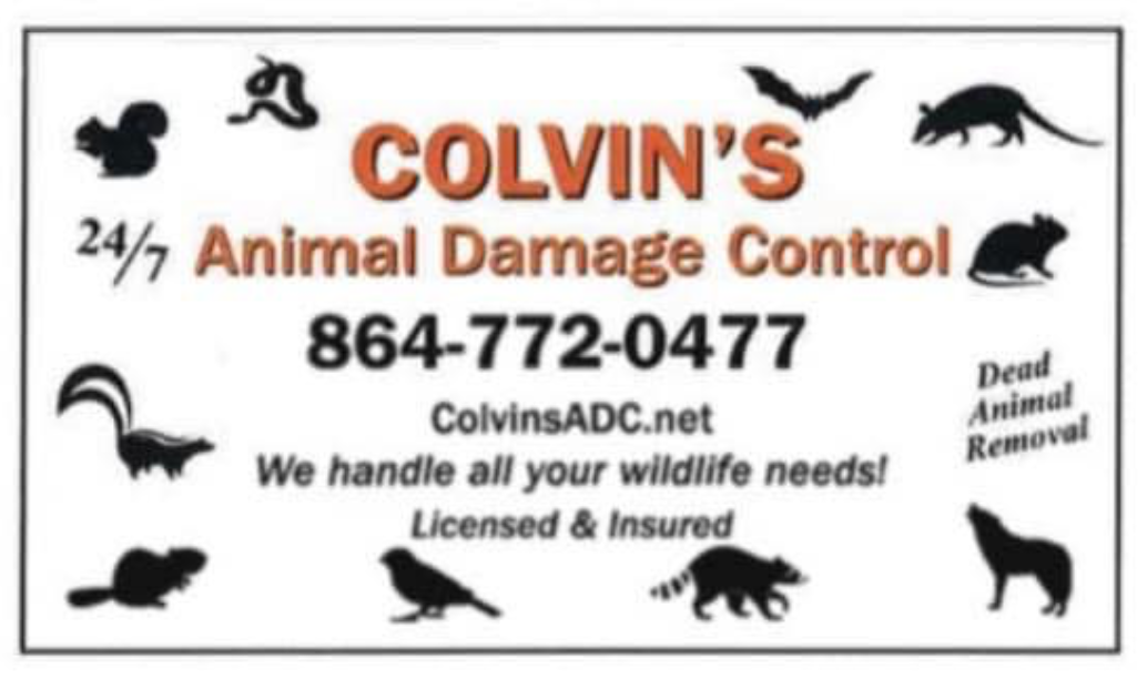 Avatar for Colvin's Animal Damage Control