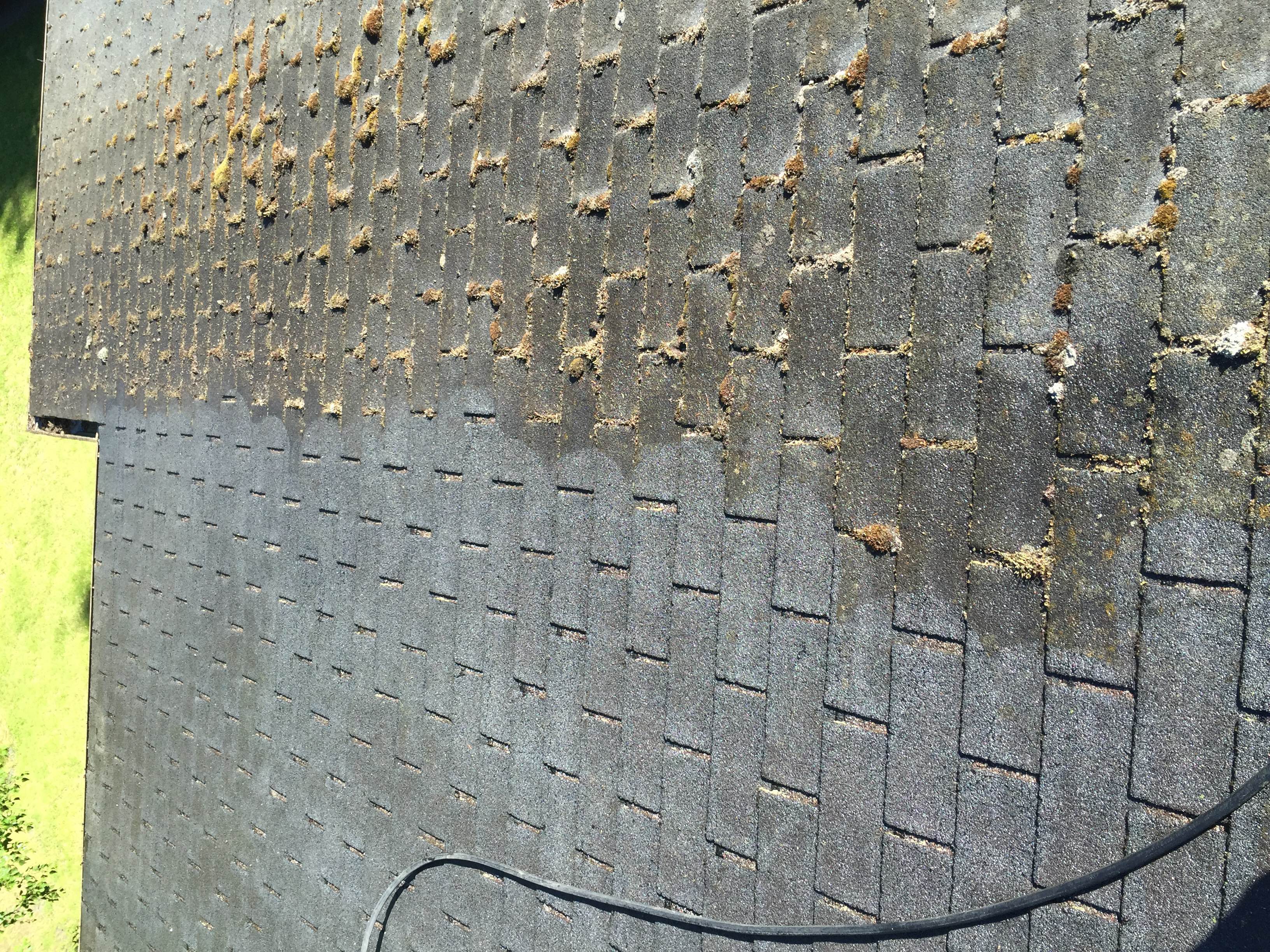 SPIT Shine gutter cleaning Reviews Anchorage, AK Angi