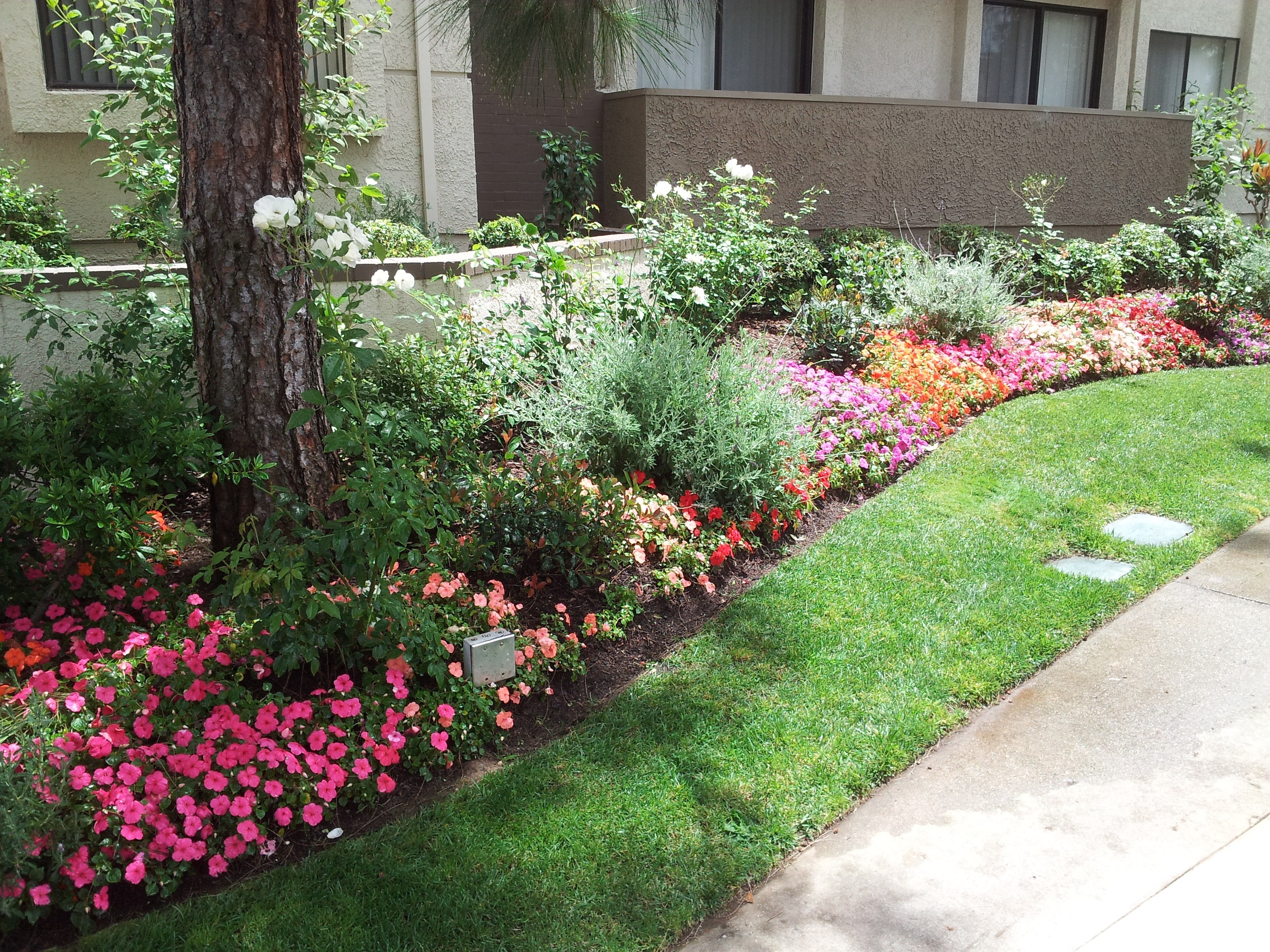 Avatar for Leo Gonzalez Landscape