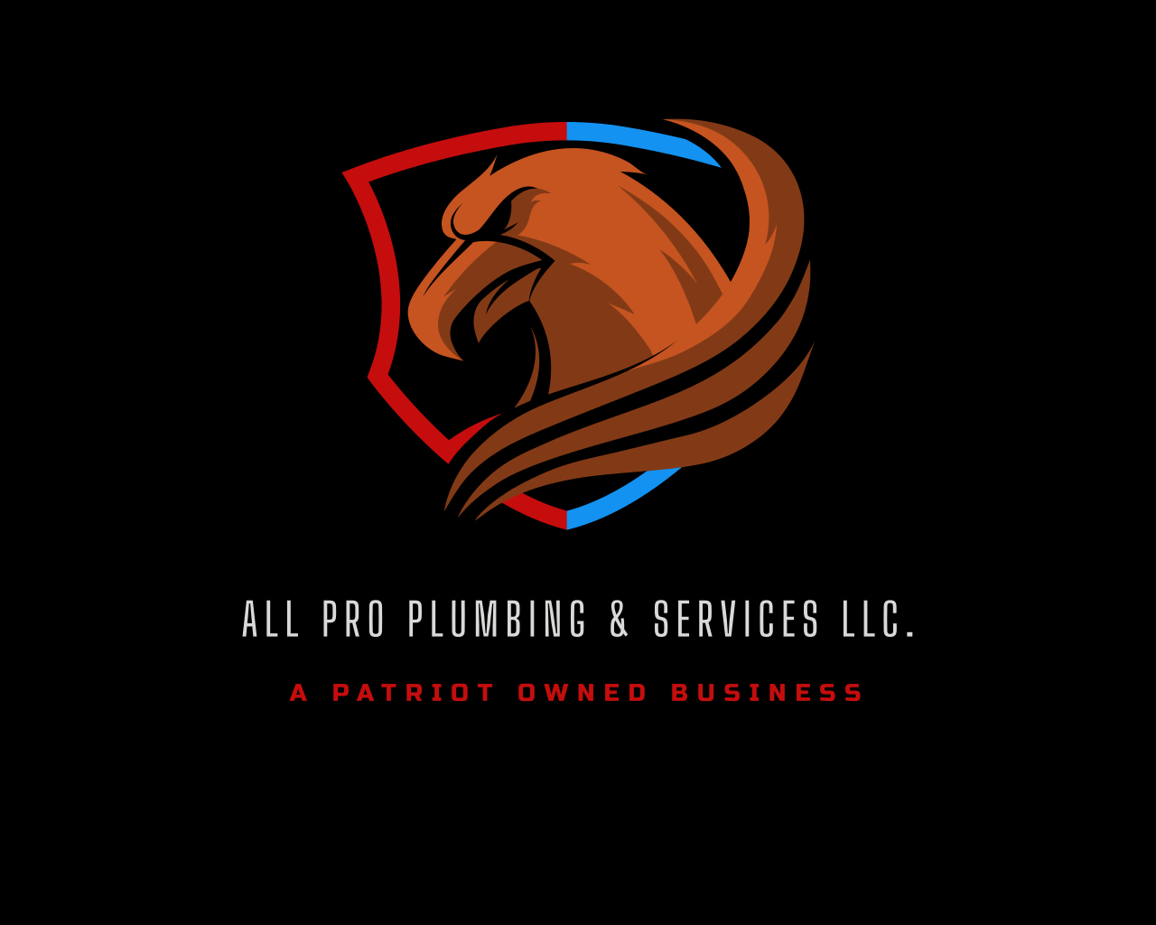 Avatar for All Pro Plumbing & Services