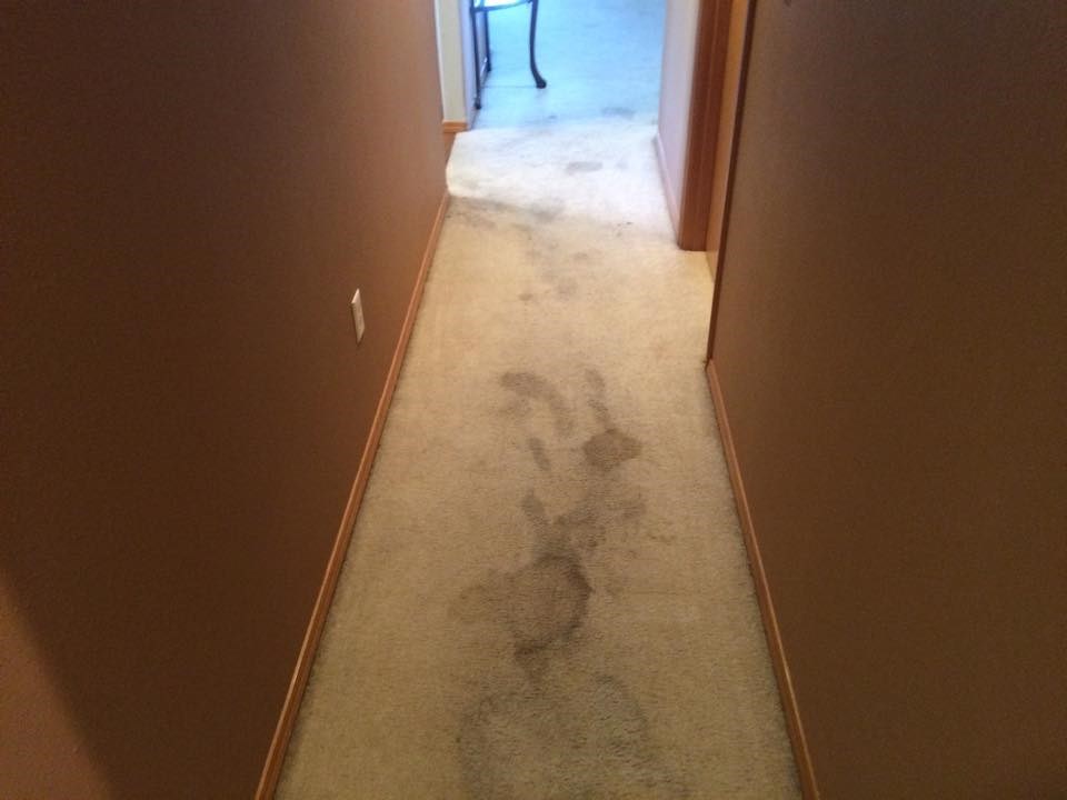 Soiled hallway