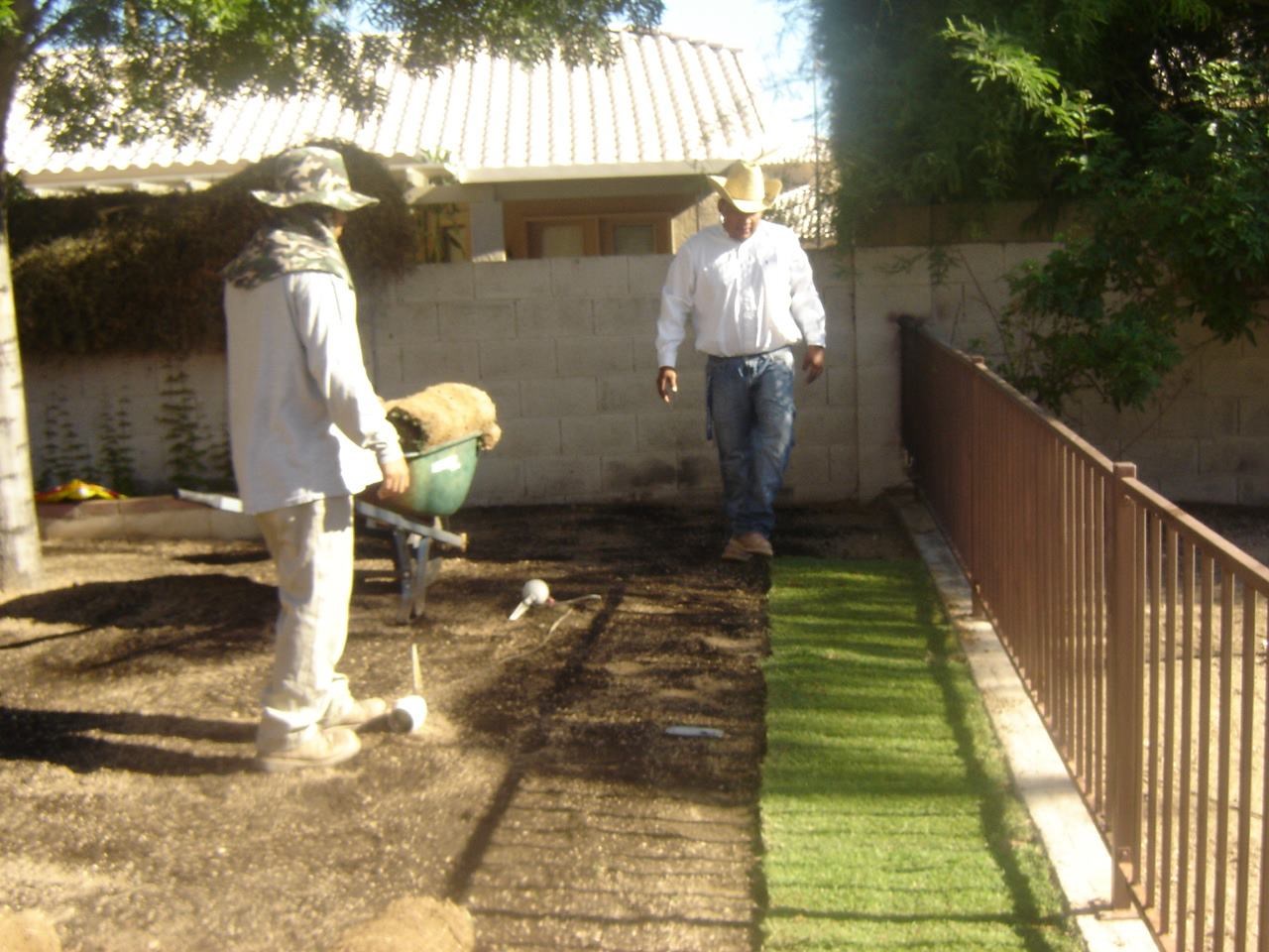 Angelica's landscaping logo