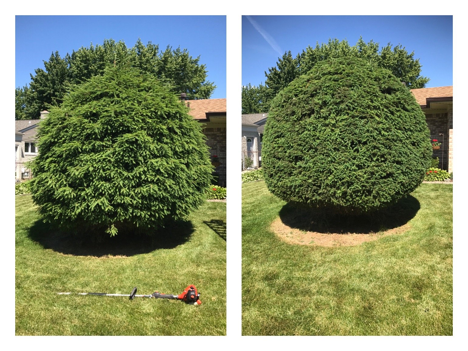 Avatar for Danny's Pro Landscaping LLC.