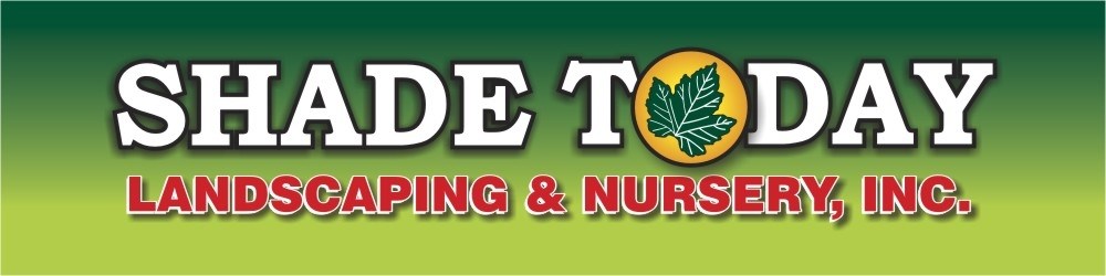 Avatar for Shade Today Nursery Inc