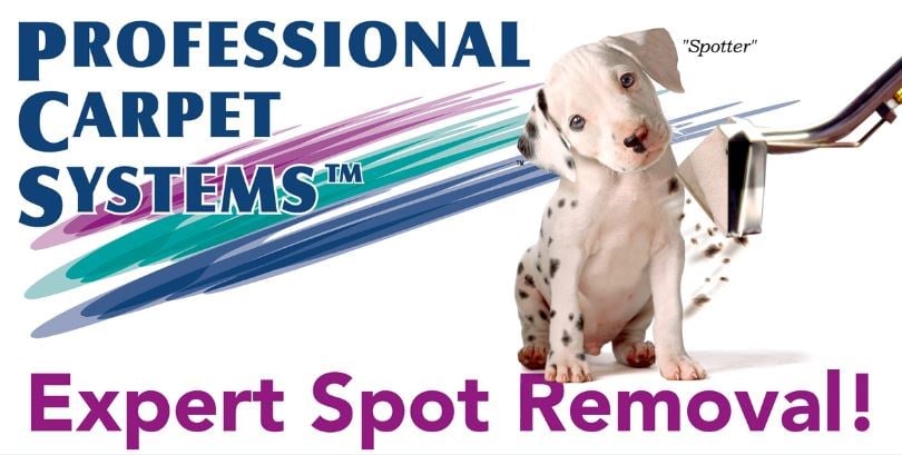 Avatar for Professional Carpet Systems