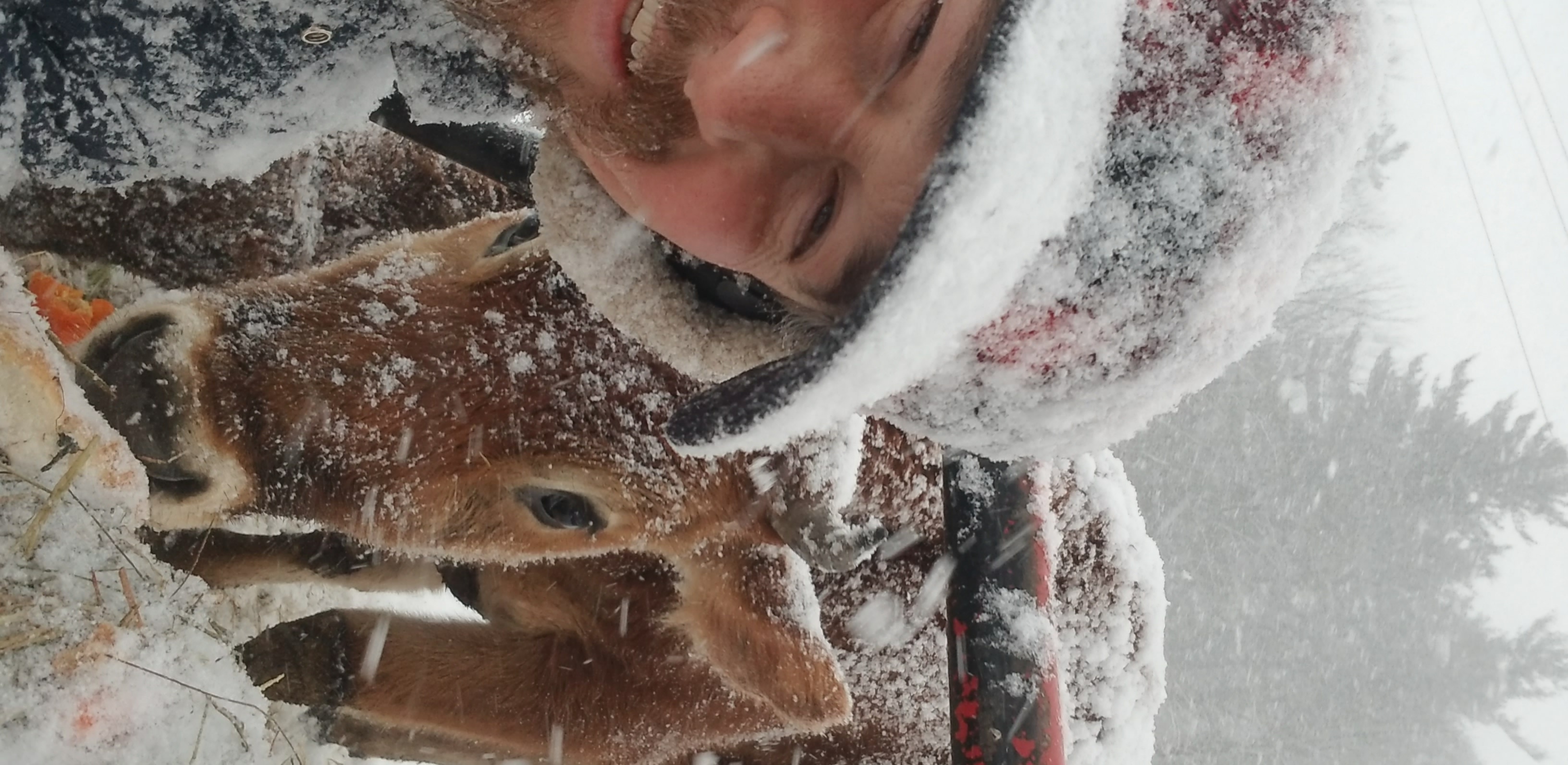 Avatar for Jagged Thistle Home Services