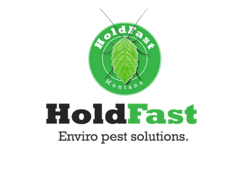 Avatar for HoldFast Enviro Pest Solutions