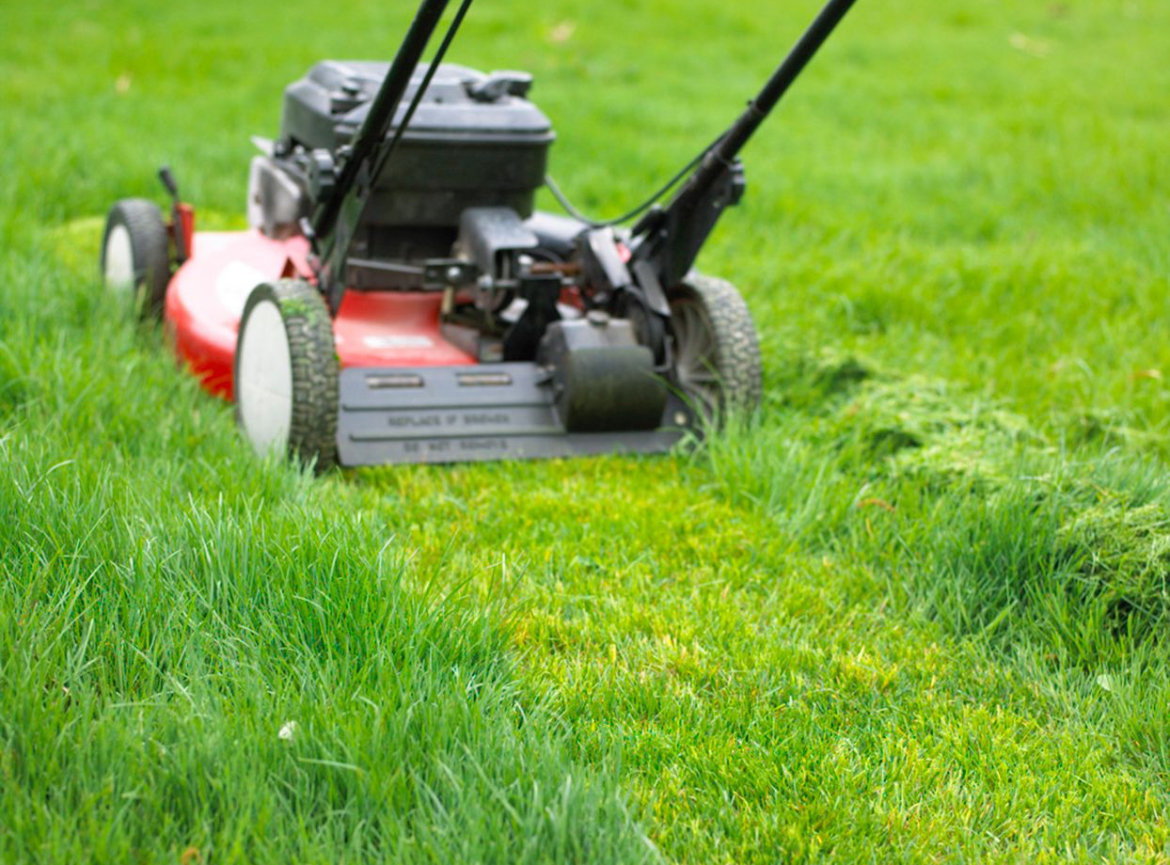 Avatar for Dukes Mowing