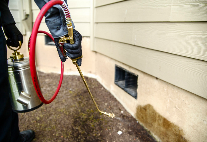 Avatar for 905 PEST CONTROL