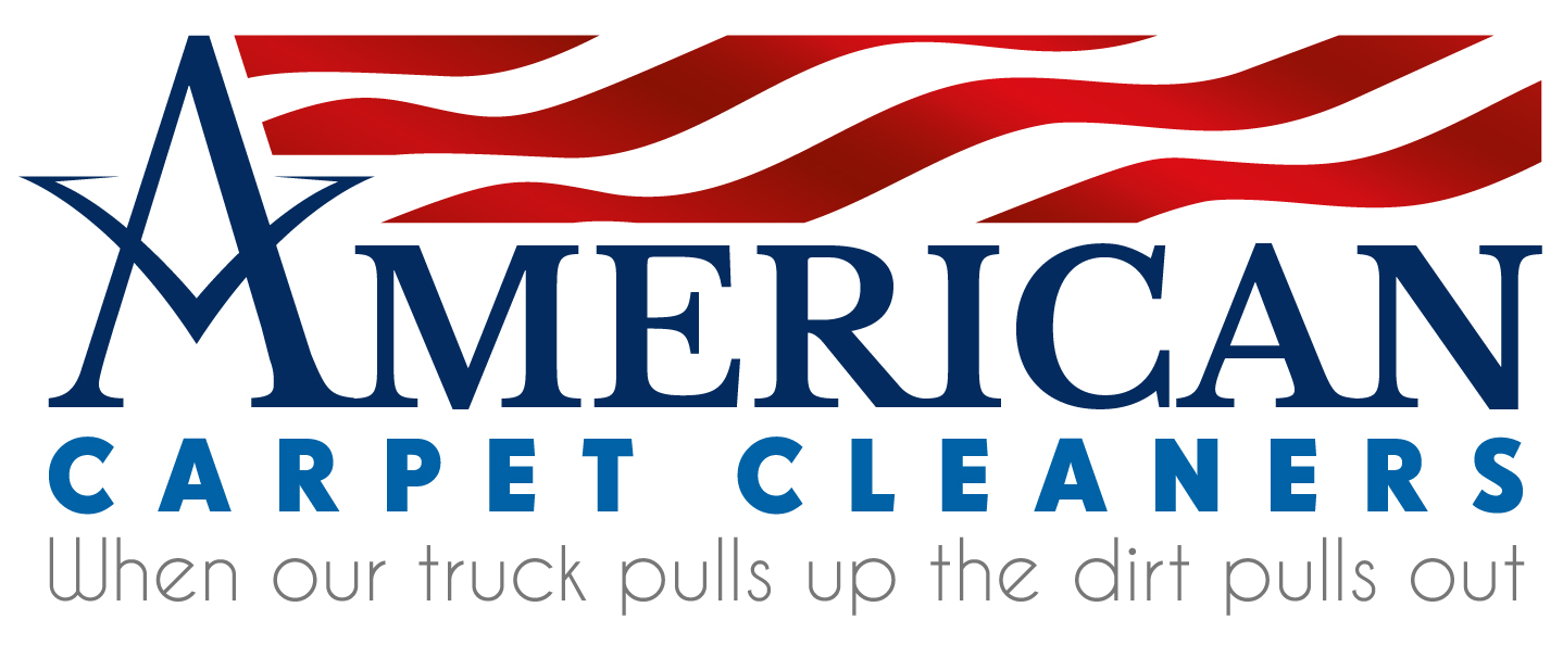 Avatar for AMERICAN CARPET CLEANERS