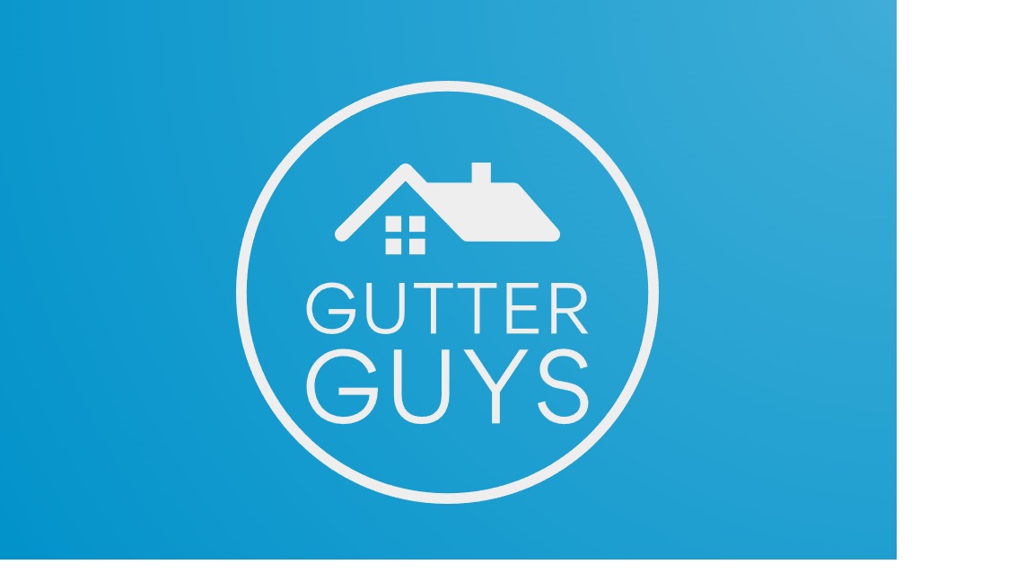 Avatar for The Gutter Guys