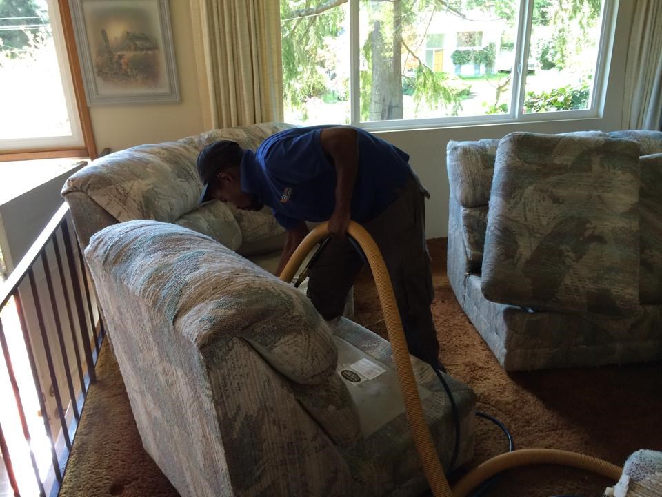 Avatar for Small Cleaning Services