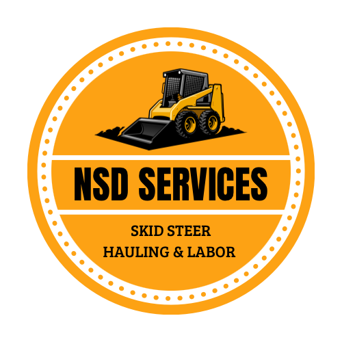 Avatar for NSD Service