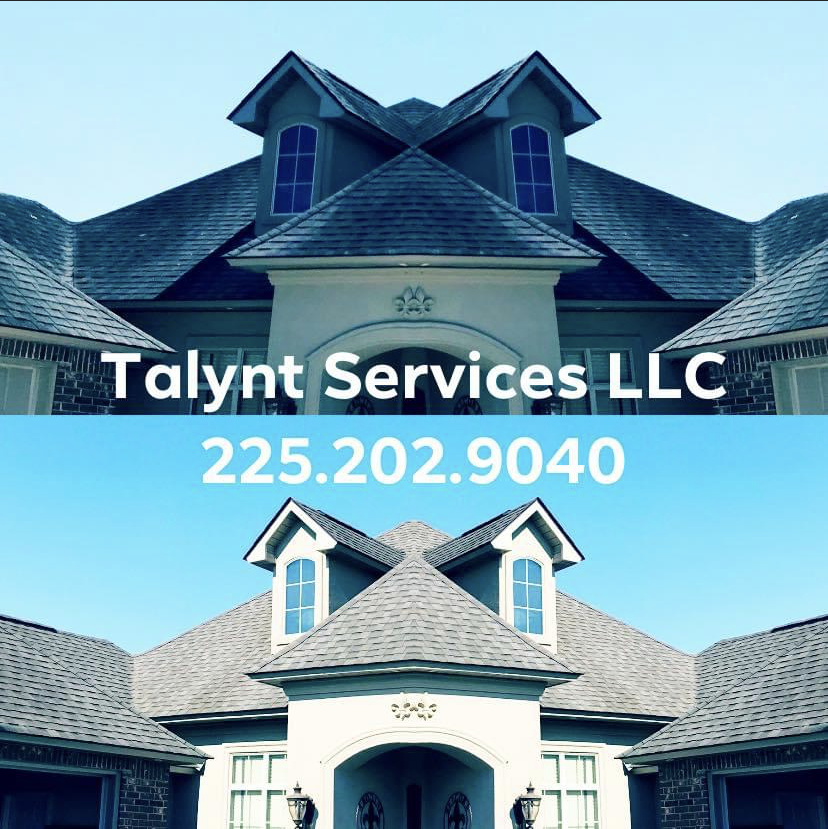 Avatar for Talynt Services LLC