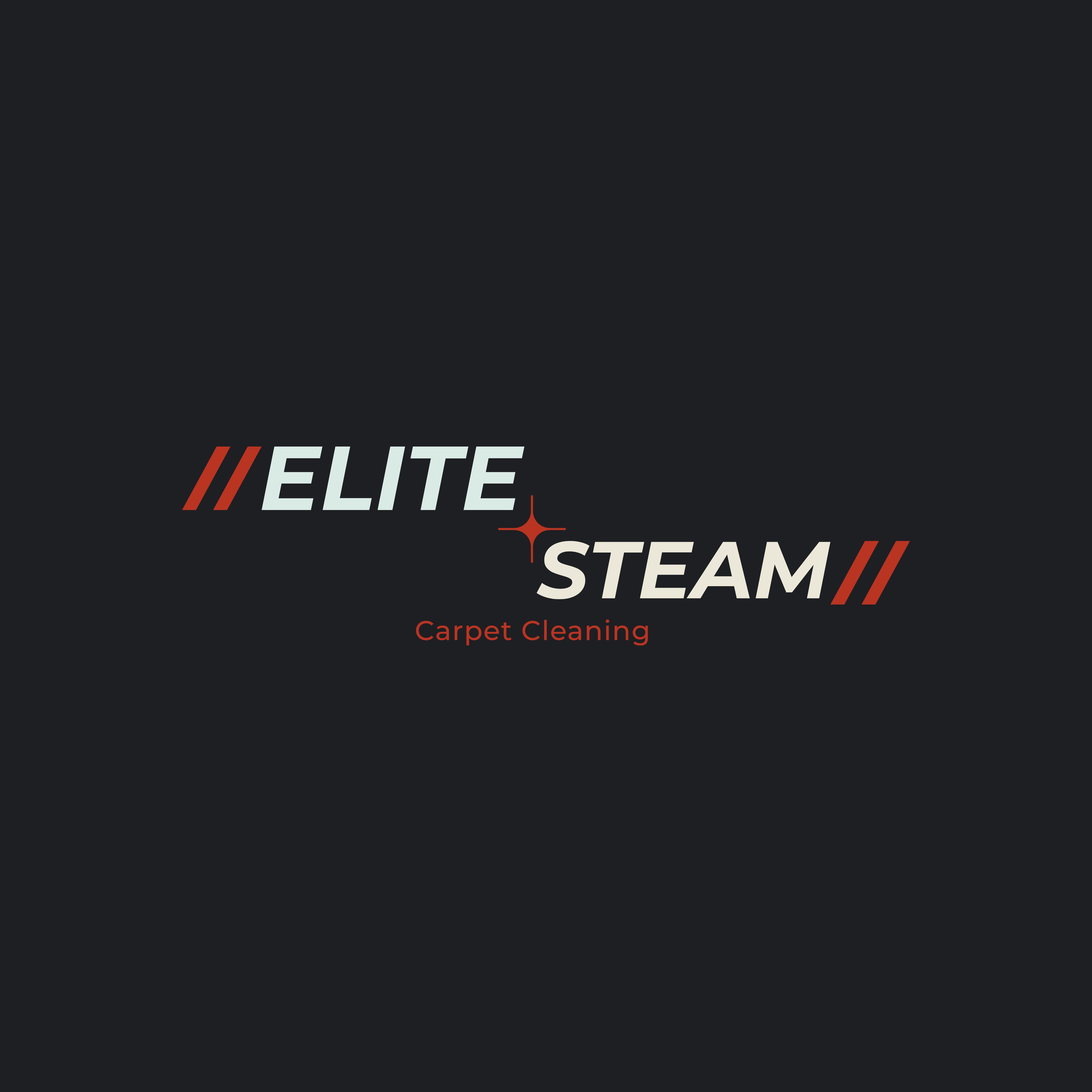 Avatar for Elite Steam Carpet Cleaning LLC
