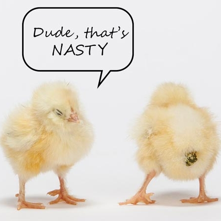 Avatar for Two Tidy Chicks Cleaning and Organization