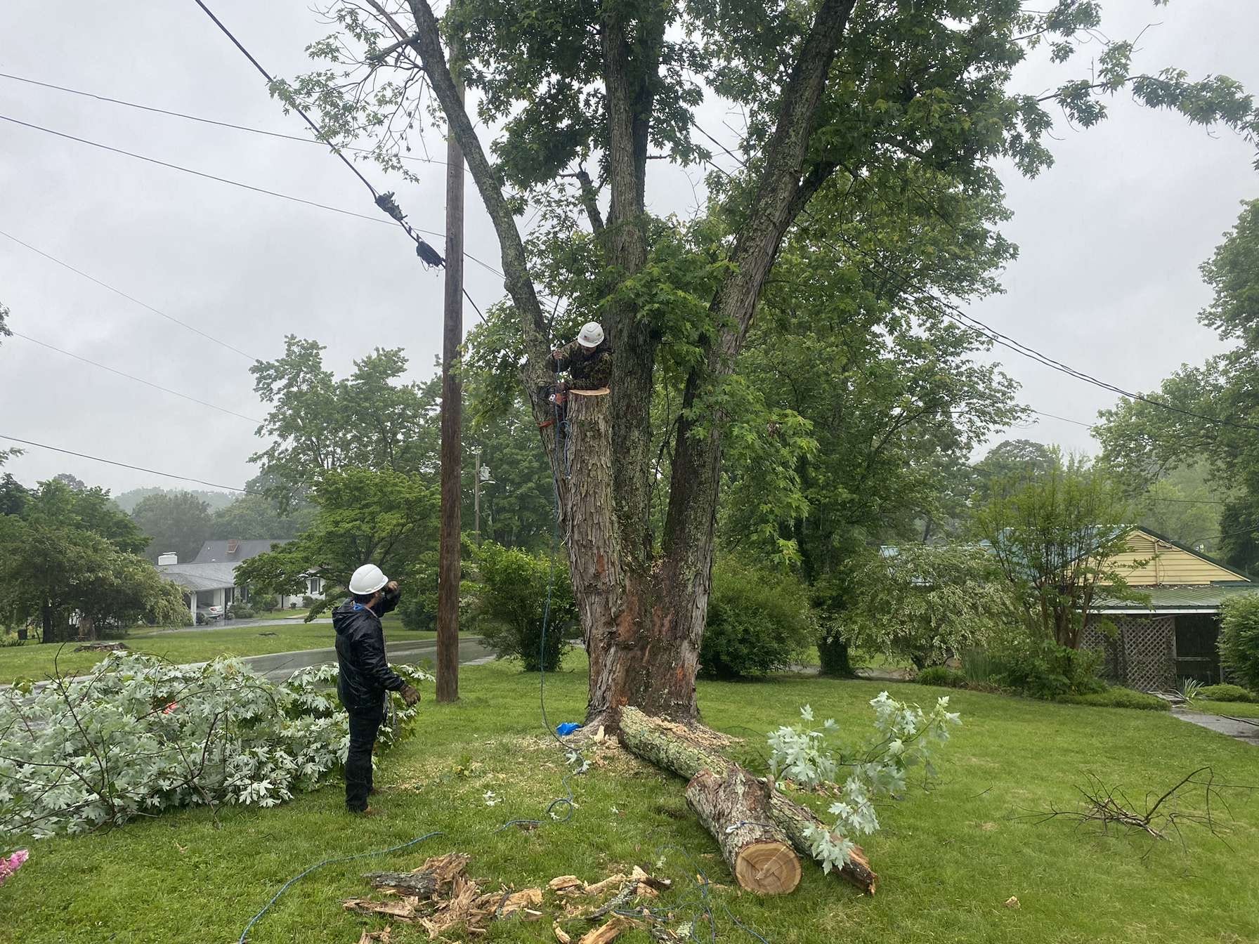 Avatar for Three bros property management