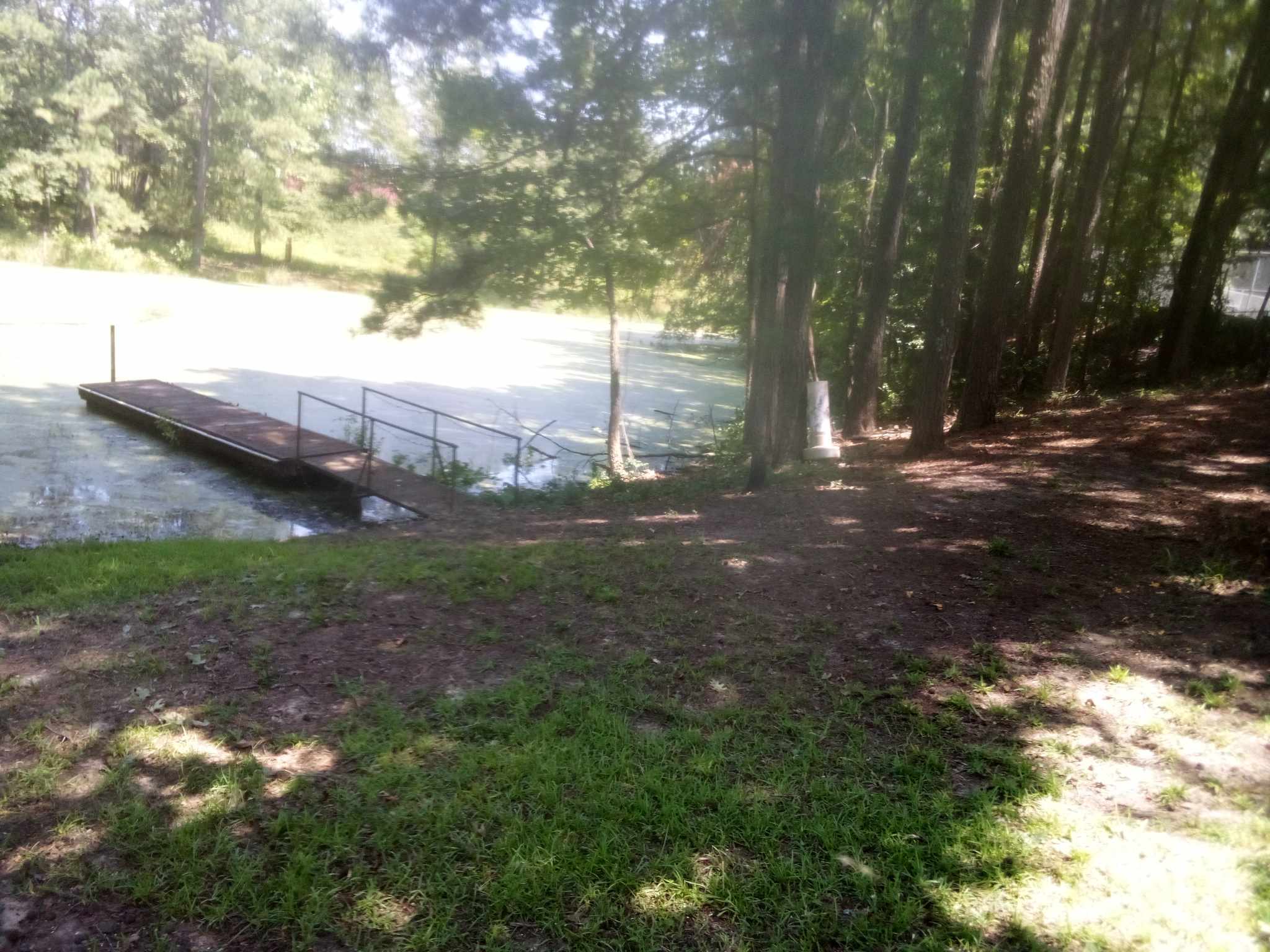 Avatar for Bears tree care / handyman