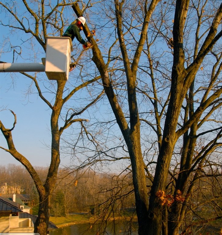 The Michigan Property Network