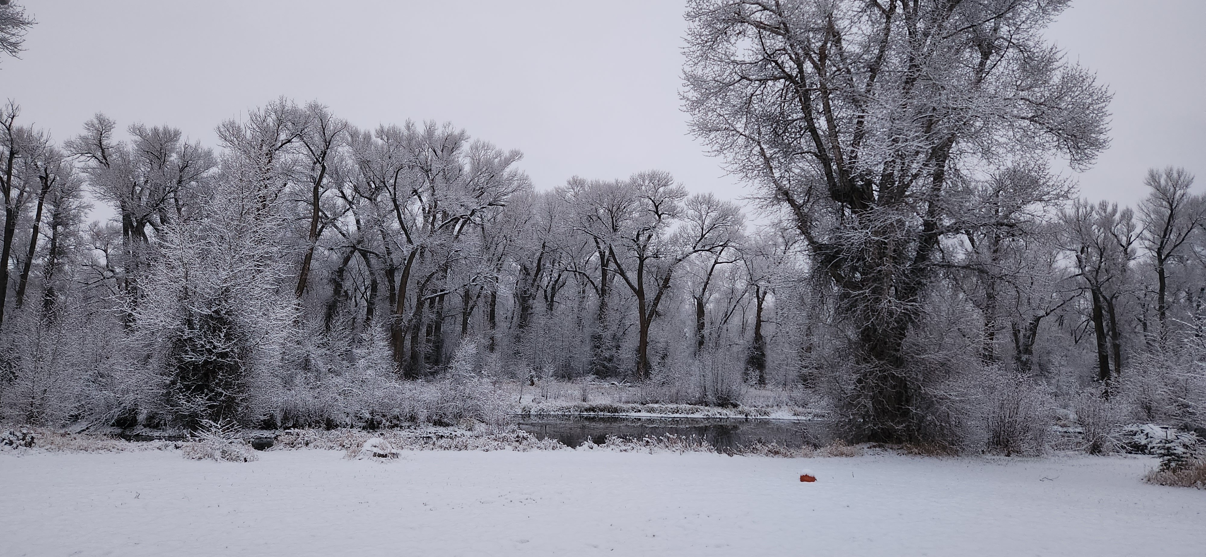 Avatar for Haleigh Simmons