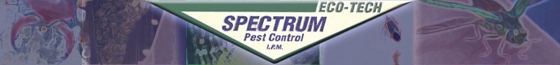 Avatar for BRENT'S SPECTRUM PEST CONTROL