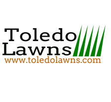 Avatar for Toledo Lawns