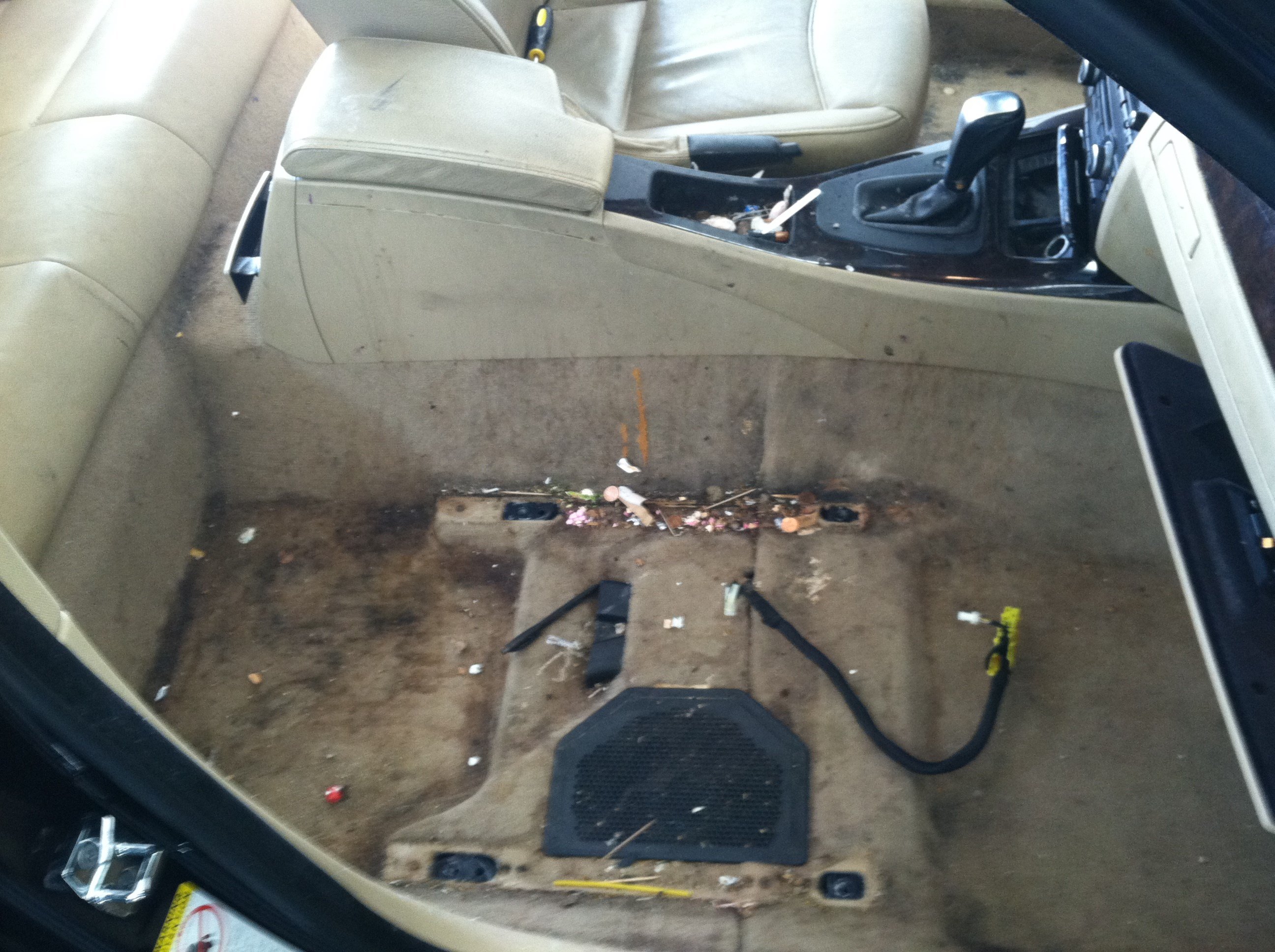 Avatar for Riverside Auto Detail, INC