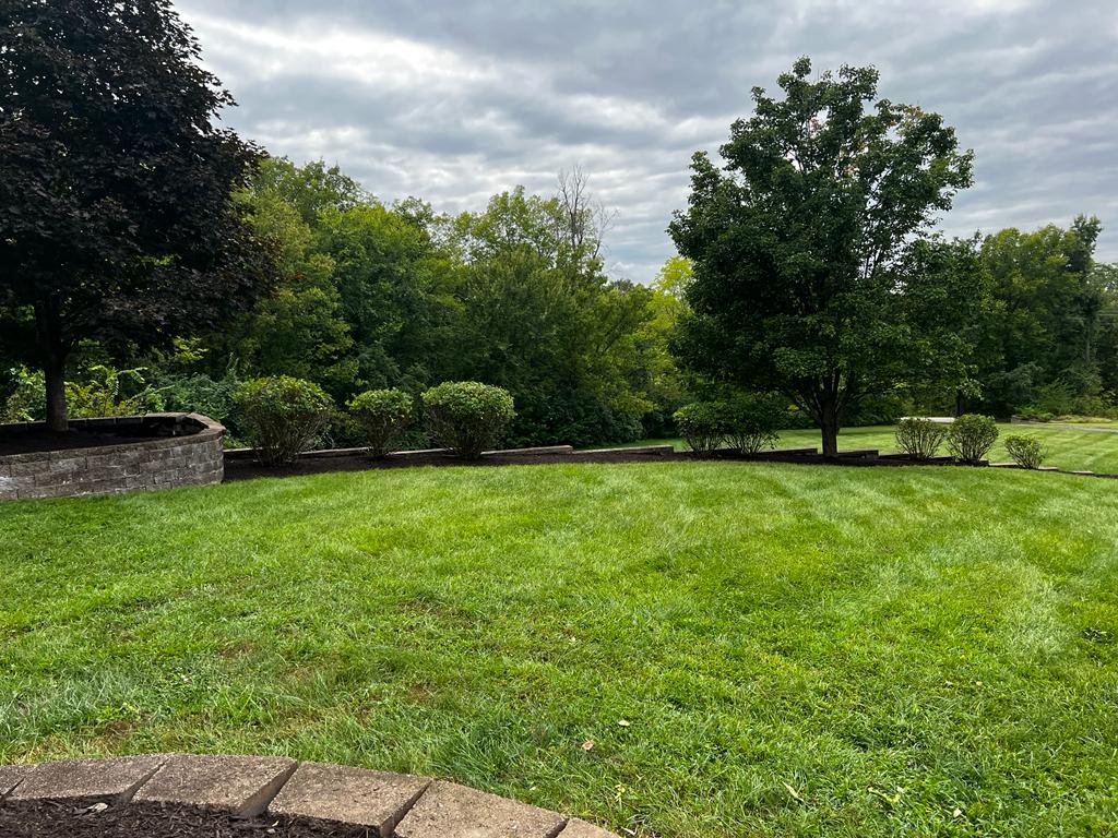 Avatar for J.D Services