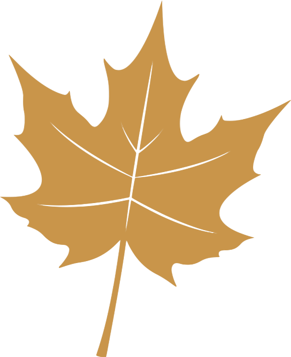 Avatar for Golden Leaf Landscapes