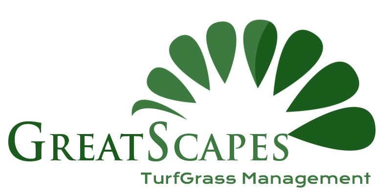 Avatar for Great Scapes llc