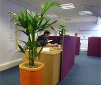 Blake's Beautiful Plants logo