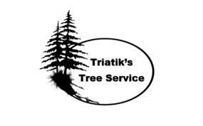 Avatar for Triatik's Tree Service LLC
