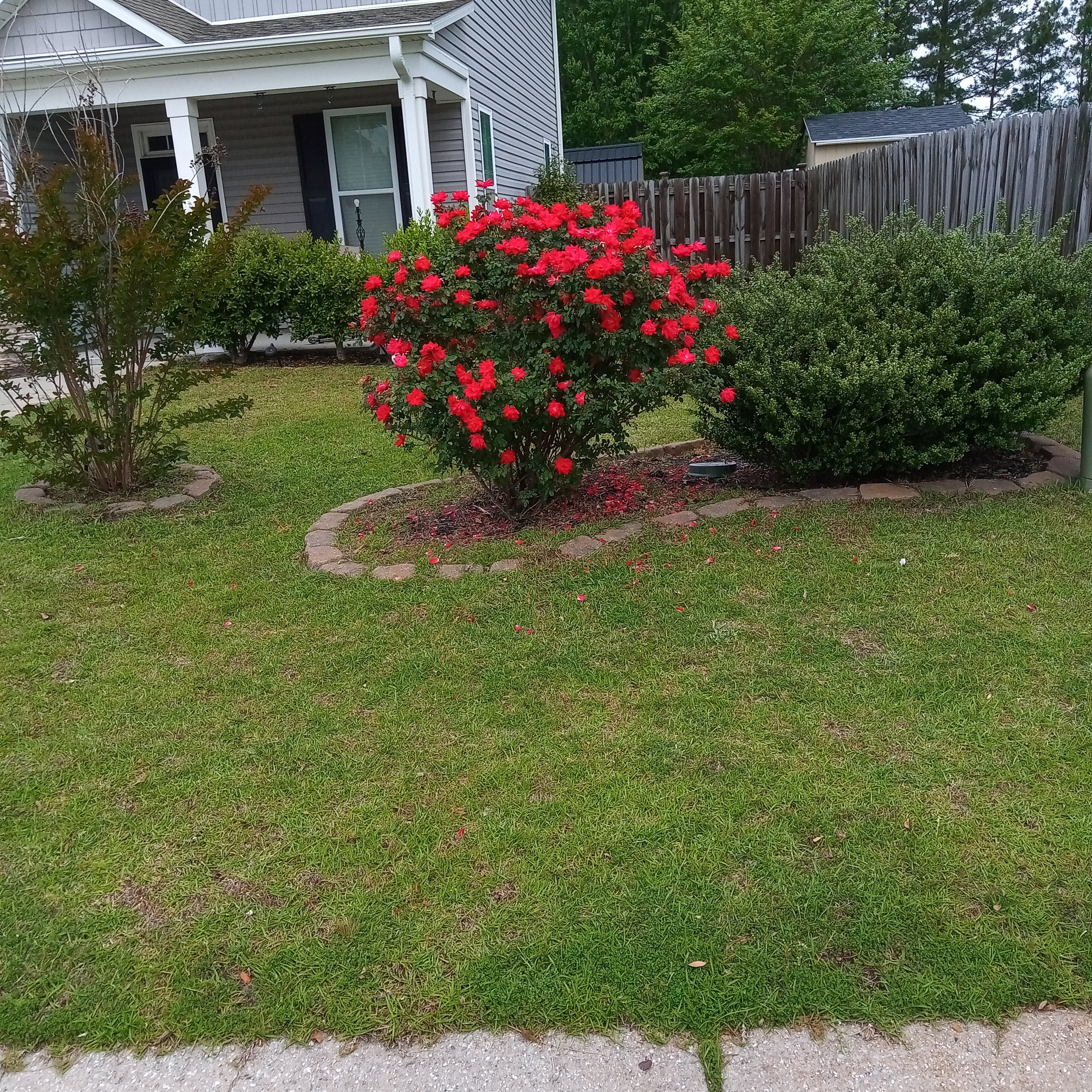 Avatar for Ace Landscaping