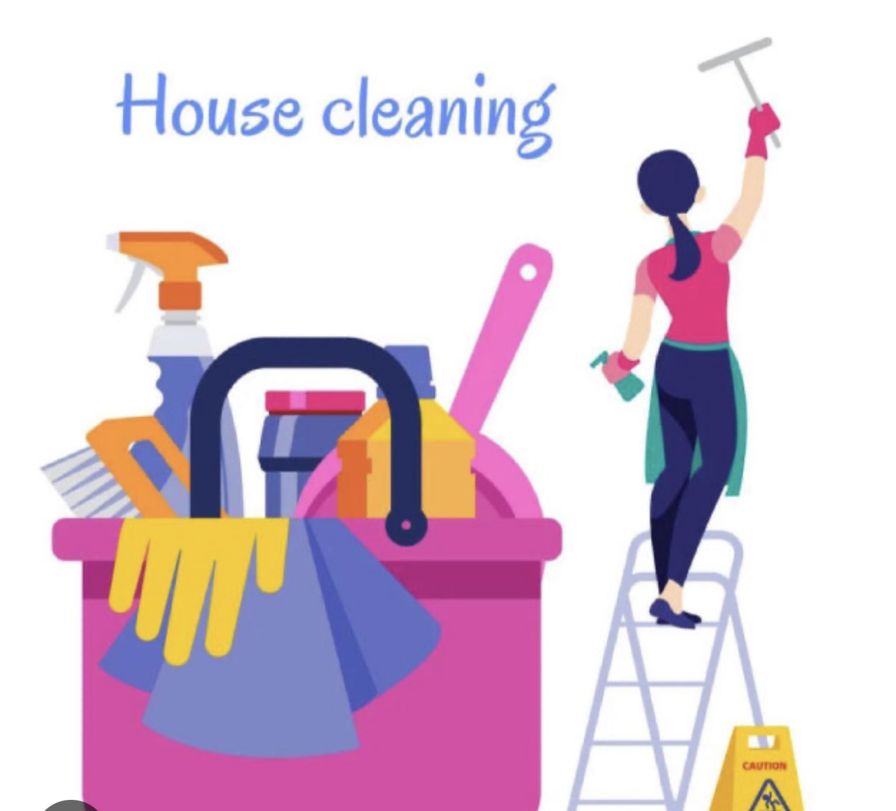 Julissacleaning Services  logo