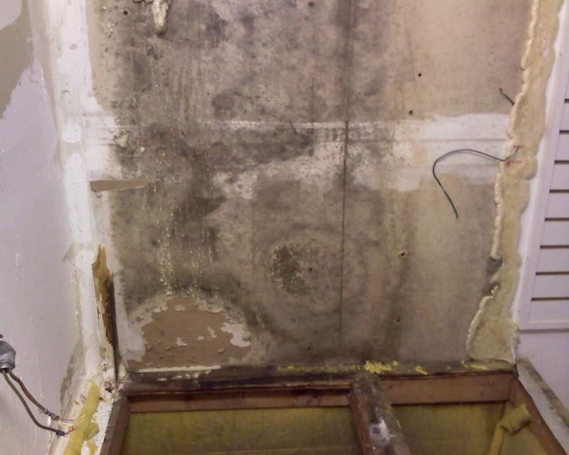Mold Damage