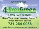 Avatar for 4-EverGreen Lawn Care Service