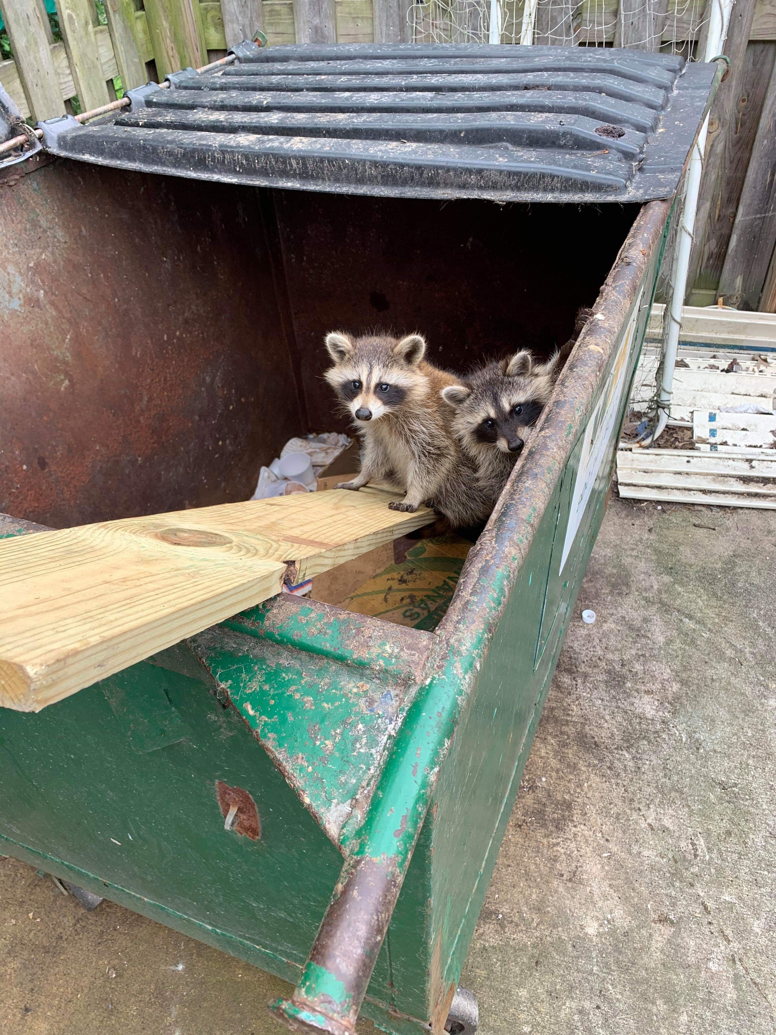 Avatar for Ashley's Critter Gitter