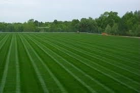 Avatar for Action Outdoor Maintenance