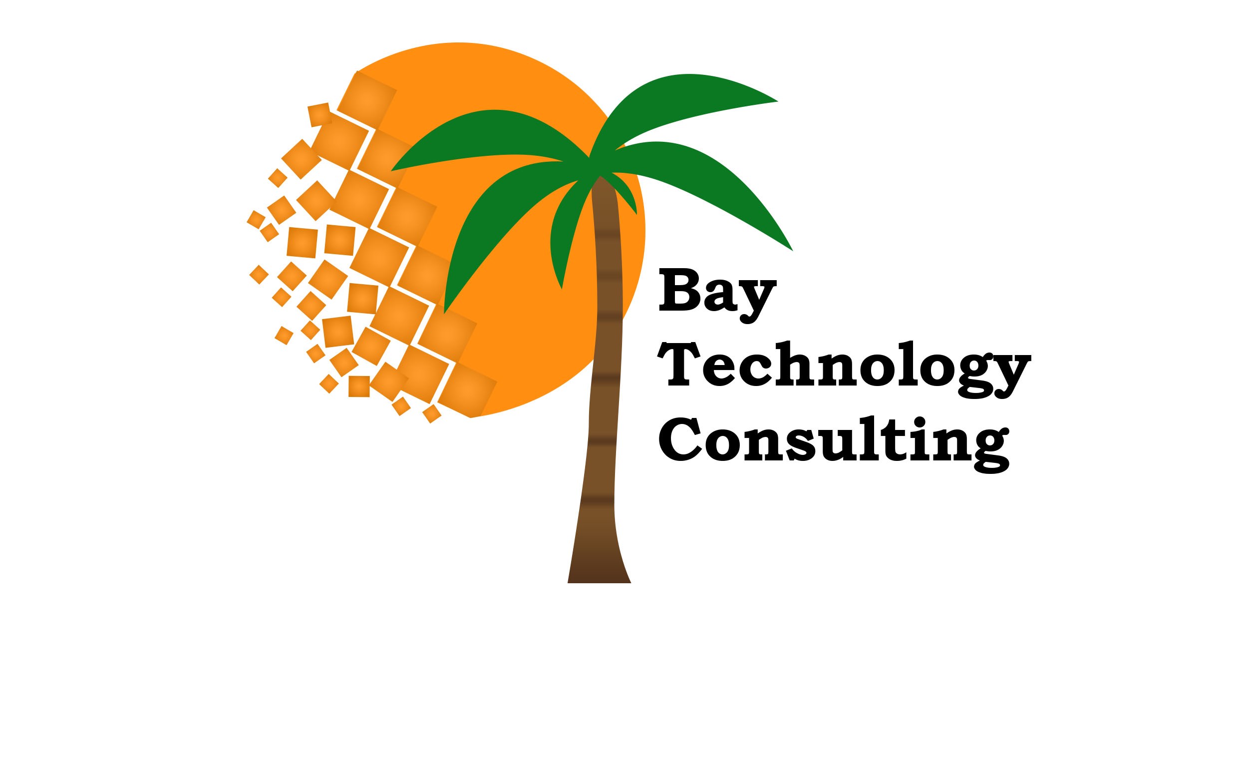 Bay Technology Consulting logo