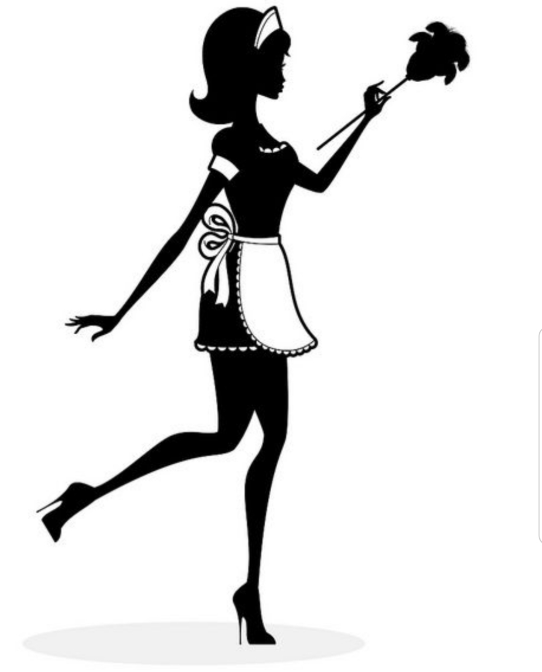 Lizzies Top Star Cleaning logo