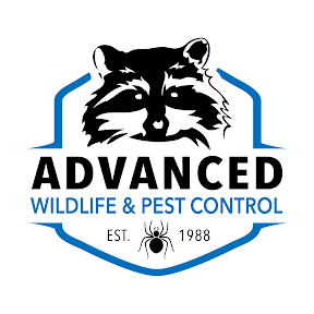 Avatar for Advanced Wildlife and Pest Control