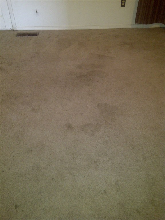 Anew Carpet Cleaning Reviews Oklahoma City, OK Angi