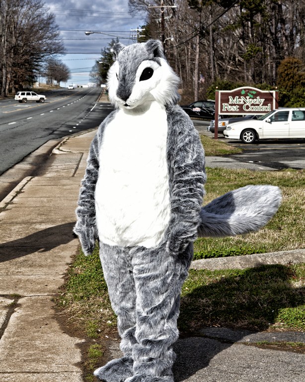 McNeely Pest Control Reviews Winston Salem, NC Angi